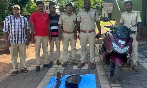 ಭಟ್ಕಳದಲ್ಲಿ ನವಿಲು ಬೇಟೆ: ಆರೋಪಿ ಸೆರೆ