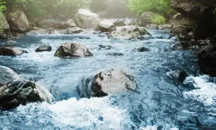 ಜಲಮೂಲಗಳಲ್ಲಿ ಪ್ಲಾಸ್ಟರ್ ಆಫ್ ಪ್ಯಾರಿಸ್, ಬಣ್ಣದ ವಿಗ್ರಹಗಳ ವಿಸರ್ಜನೆ ನಿಷೇಧ