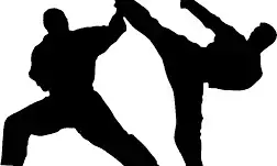 ಸೆ.2-3ರಂದು ರಾಷ್ಟ್ರೀಯ ಮಟ್ಟದ ಕರಾಟೆ ಚಾಂಪಿಯನ್ ಲೀಗ್