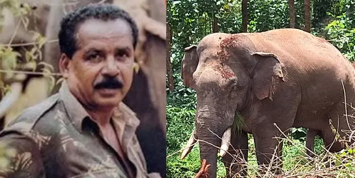 ಸಕಲೇಶಪುರ: ಕಾಡಾನೆ ದಾಳಿಗೊಳಗಾಗಿದ್ದ ಅರಣ್ಯ ಇಲಾಖೆ ಸಿಬ್ಬಂದಿ ಮೃತ್ಯು