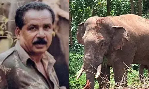 ಸಕಲೇಶಪುರ: ಕಾಡಾನೆ ದಾಳಿಗೊಳಗಾಗಿದ್ದ ಅರಣ್ಯ ಇಲಾಖೆ ಸಿಬ್ಬಂದಿ ಮೃತ್ಯು