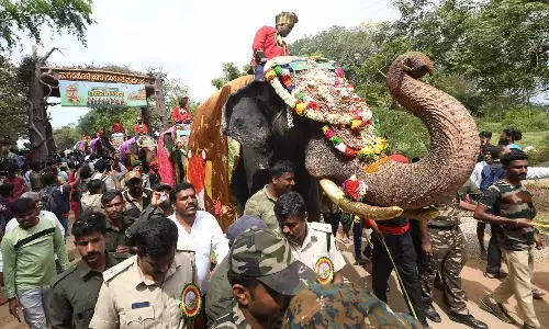 ಅಭಿಮನ್ಯು ನೇತೃತ್ವದಲ್ಲಿ ಕಾಡಿನಿಂದ ನಾಡಿನತ್ತ ಹೆಜ್ಜೆಹಾಕಿದ ಗಜಪಡೆ