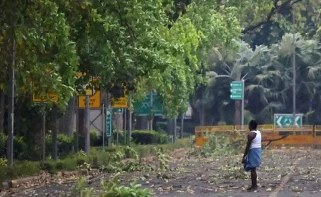ನೆರೆಹೊರೆಯವರ ಮರ ಕಡಿದ ಆರೋಪ: ಸಮಾಜವಾದಿ ಪಕ್ಷದ ನಾಯಕನ ವಿರುದ್ಧ ಪ್ರಕರಣ ದಾಖಲು