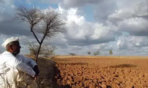 ರಾಜ್ಯಕ್ಕೆ ಬರದ ಛಾಯೆ: 130 ತಾಲೂಕುಗಳು ಬರಪೀಡಿತವೆಂದು ಘೋಷಣೆ ಸಾಧ್ಯತೆ