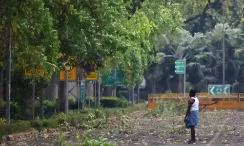 ನೆರೆಹೊರೆಯವರ ಮರ ಕಡಿದ ಆರೋಪ: ಸಮಾಜವಾದಿ ಪಕ್ಷದ ನಾಯಕನ ವಿರುದ್ಧ ಪ್ರಕರಣ ದಾಖಲು