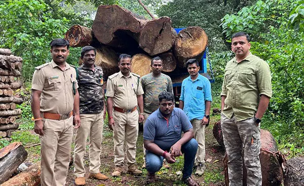 ಉಪ್ಪಿನಂಗಡಿ: ಅಕ್ರಮ ಮರ ಸಾಗಾಟ ಪ್ರಕರಣ; ಲಾರಿ ಸಹಿತ ಓರ್ವನ ಬಂಧನ ಉಪ್ಪಿನಂಗಡಿ: ಅಕ್ರಮ ಮರ ಸಾಗಾಟ ಪ್ರಕರಣ; ಲಾರಿ ಸಹಿತ ಓರ್ವನ ಬಂಧನ