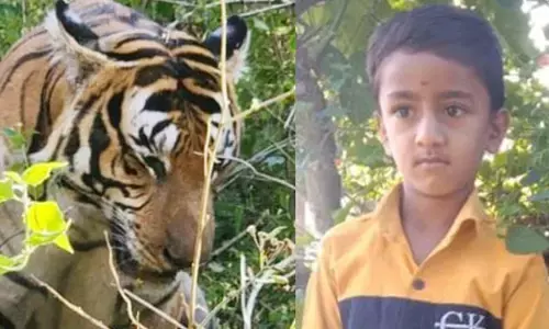 ಮೈಸೂರು: ಹುಲಿ ದಾಳಿಗೆ ಬಾಲಕ ಬಲಿ