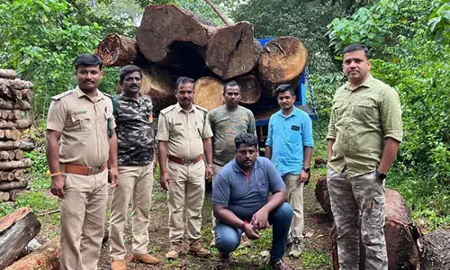 ಉಪ್ಪಿನಂಗಡಿ: ಅಕ್ರಮ ಮರ ಸಾಗಾಟ ಪ್ರಕರಣ; ಲಾರಿ ಸಹಿತ ಓರ್ವನ ಬಂಧನ