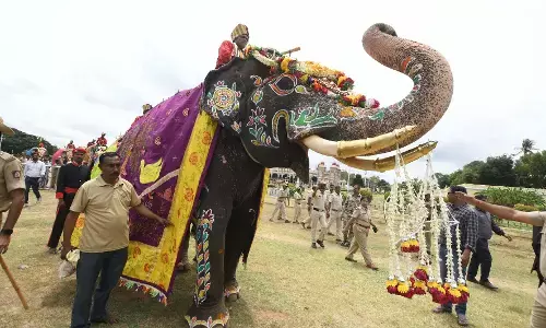 ಅರಮನೆ ನಗರಿಗೆ ಬಂದ ಗಜ ಪಡೆಗೆ ಅದ್ದೂರಿ ಸ್ವಾಗತ