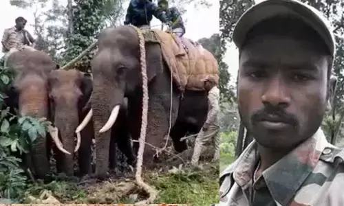 ಕೊಡಗು: ಅರಣ್ಯ ಸಿಬ್ಬಂದಿಯನ್ನು ಬಲಿ ಪಡೆದ ಕಾಡಾನೆ ಕೊನೆಗೂ ಸೆರೆ