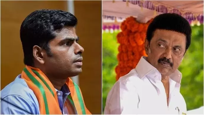 ಡಿಎಂಕೆ ಎಂದರೆ ಡೆಂಗ್ಯೂ, ಮಲೇರಿಯಾ, ಸೊಳ್ಳೆ: ಉದಯನಿಧಿ ಹೇಳಿಕೆಗೆ ಅಣ್ಣಾಮಲೈ ತಿರುಗೇಟು