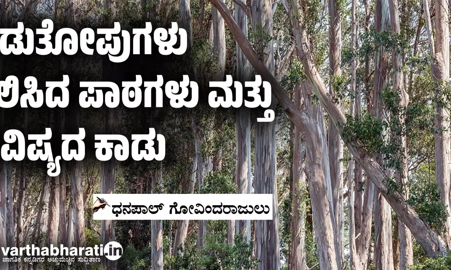 ನೆಡುತೋಪುಗಳು ಕಲಿಸಿದ ಪಾಠಗಳು ಮತ್ತು ಭವಿಷ್ಯದ ಕಾಡು