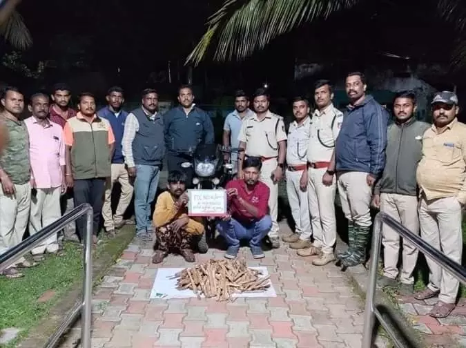 ಶಿವಮೊಗ್ಗ | ಶ್ರೀಗಂಧ ಸಾಗಾಟ: ಇಬ್ಬರು ಆರೋಪಿಗಳ ಬಂಧನ