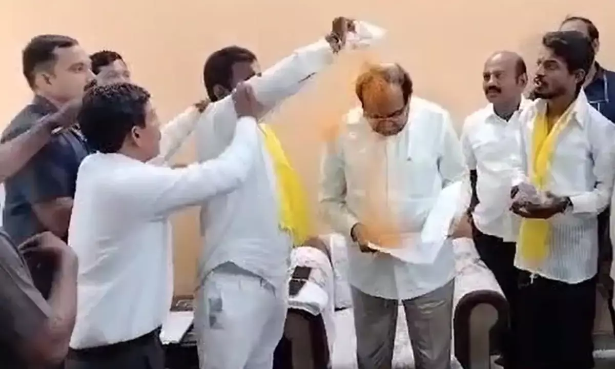 ಮಹಾರಾಷ್ಟ್ರ: ಮೀಸಲಾತಿ ಕುರಿತು ಸಭೆ ನಡೆಸಲು ಬಂದಿದ್ದ ಕಂದಾಯ ಸಚಿವರ ಮೇಲೆ ಅರಶಿನ ಪುಡಿ ಎರಚಿದ ಪ್ರತಿಭಟನಾಕಾರ