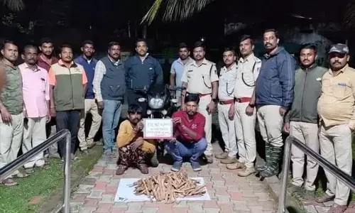 ಶಿವಮೊಗ್ಗ | ಶ್ರೀಗಂಧ ಸಾಗಾಟ: ಇಬ್ಬರು ಆರೋಪಿಗಳ ಬಂಧನ