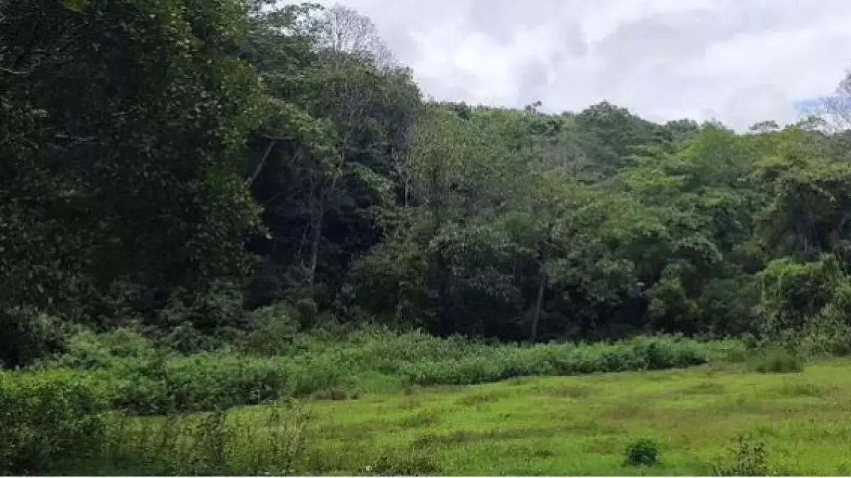 ವನ್ಯಮೃಗದ ದಾಳಿಗೆ ಇಬ್ಬರು ಮಕ್ಕಳು ಬಲಿ; ಕಟ್ಟೆಚ್ಚರ ವಹಿಸುವಂತೆ ಗ್ರಾಮಸ್ಥರಿಗೆ ಅರಣ್ಯಾಧಿಕಾರಿಗಳ ಸೂಚನೆ