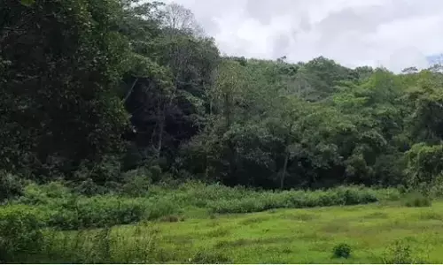 ವನ್ಯಮೃಗದ ದಾಳಿಗೆ ಇಬ್ಬರು ಮಕ್ಕಳು ಬಲಿ; ಕಟ್ಟೆಚ್ಚರ ವಹಿಸುವಂತೆ ಗ್ರಾಮಸ್ಥರಿಗೆ ಅರಣ್ಯಾಧಿಕಾರಿಗಳ ಸೂಚನೆ