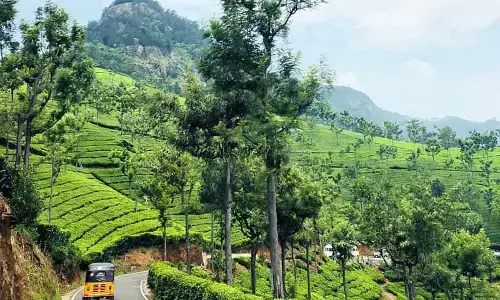 ಜಾಗತಿಕ ಆಲೋಚನೆಯ ಹೊತ್ತಿನಲ್ಲಿ ಒಂದು ಸ್ಥಳೀಯ ನೋಟ