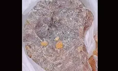 ಪಣಂಬೂರು: ಅಂಬರ್ ಗ್ರೀಸ್ (ತಿಮಿಂಗಿಲ‌ವಾಂತಿ) ಹೊಂದಿದ್ದ ಮೂವರು ಆರೋಪಿಗಳ ಬಂಧನ