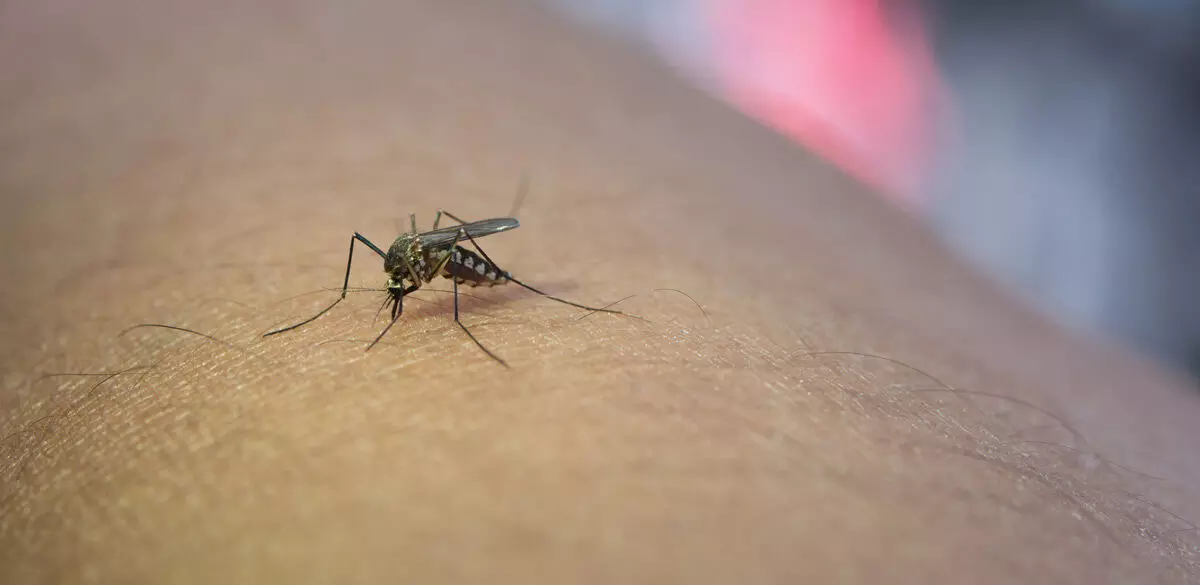 ಉಡುಪಿ ಜಿಲ್ಲೆಯಲ್ಲಿ ವ್ಯಾಪಿಸುತ್ತಿರುವ ಡೆಂಗಿ; ವಿಶೇಷ ಆದ್ಯತೆಗೆ ಆಗ್ರಹ