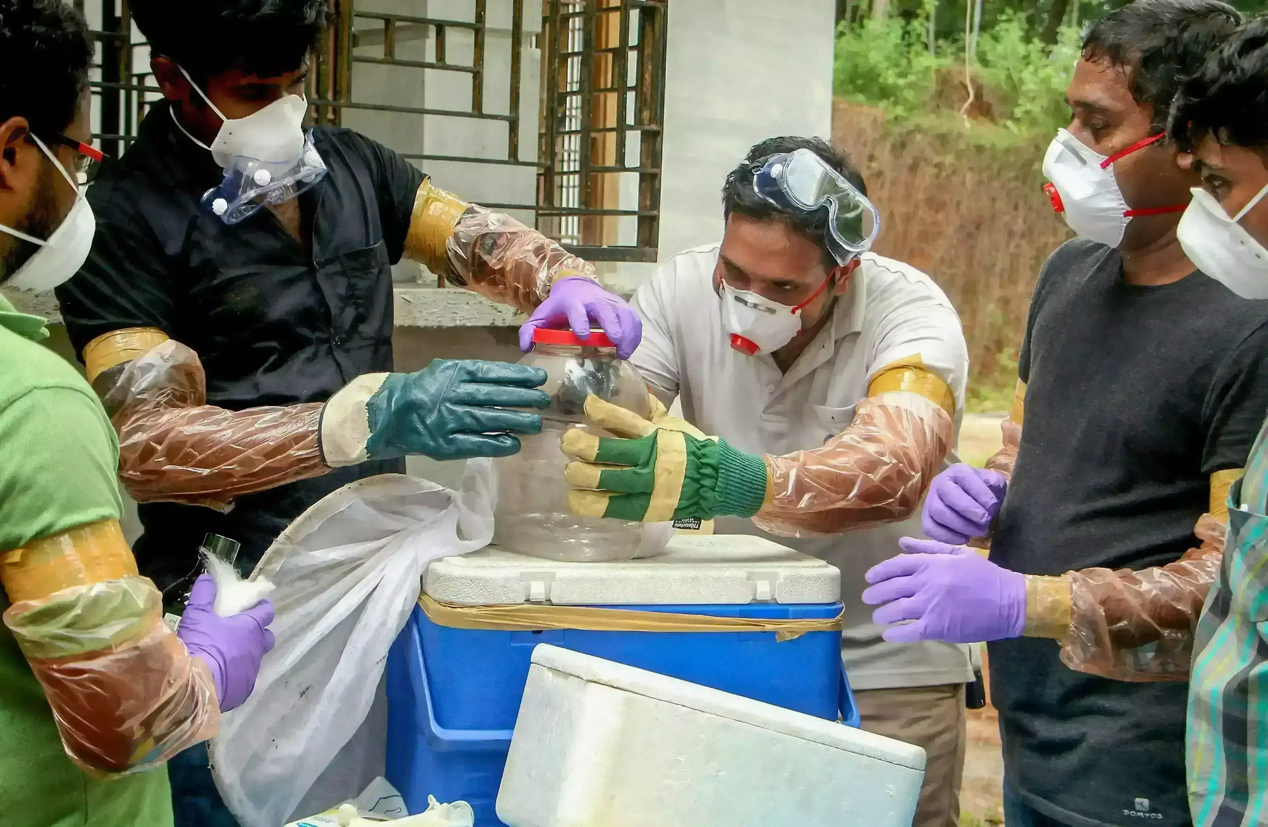 ನಿಫಾ ವೈರಸ್ | 7 ಗ್ರಾಮಗಳು ಕಂಟೈನ್ಮೆಂಟ್ ವಲಯವೆಂದು ಘೋಷಿಸಿದ ಕೇರಳ ಸರಕಾರ; ಶಾಲೆಗಳಿಗೆ ರಜೆ