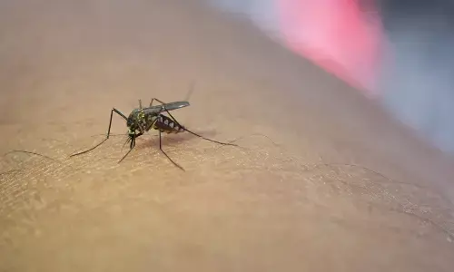 ಉಡುಪಿ ಜಿಲ್ಲೆಯಲ್ಲಿ ವ್ಯಾಪಿಸುತ್ತಿರುವ ಡೆಂಗಿ; ವಿಶೇಷ ಆದ್ಯತೆಗೆ ಆಗ್ರಹ