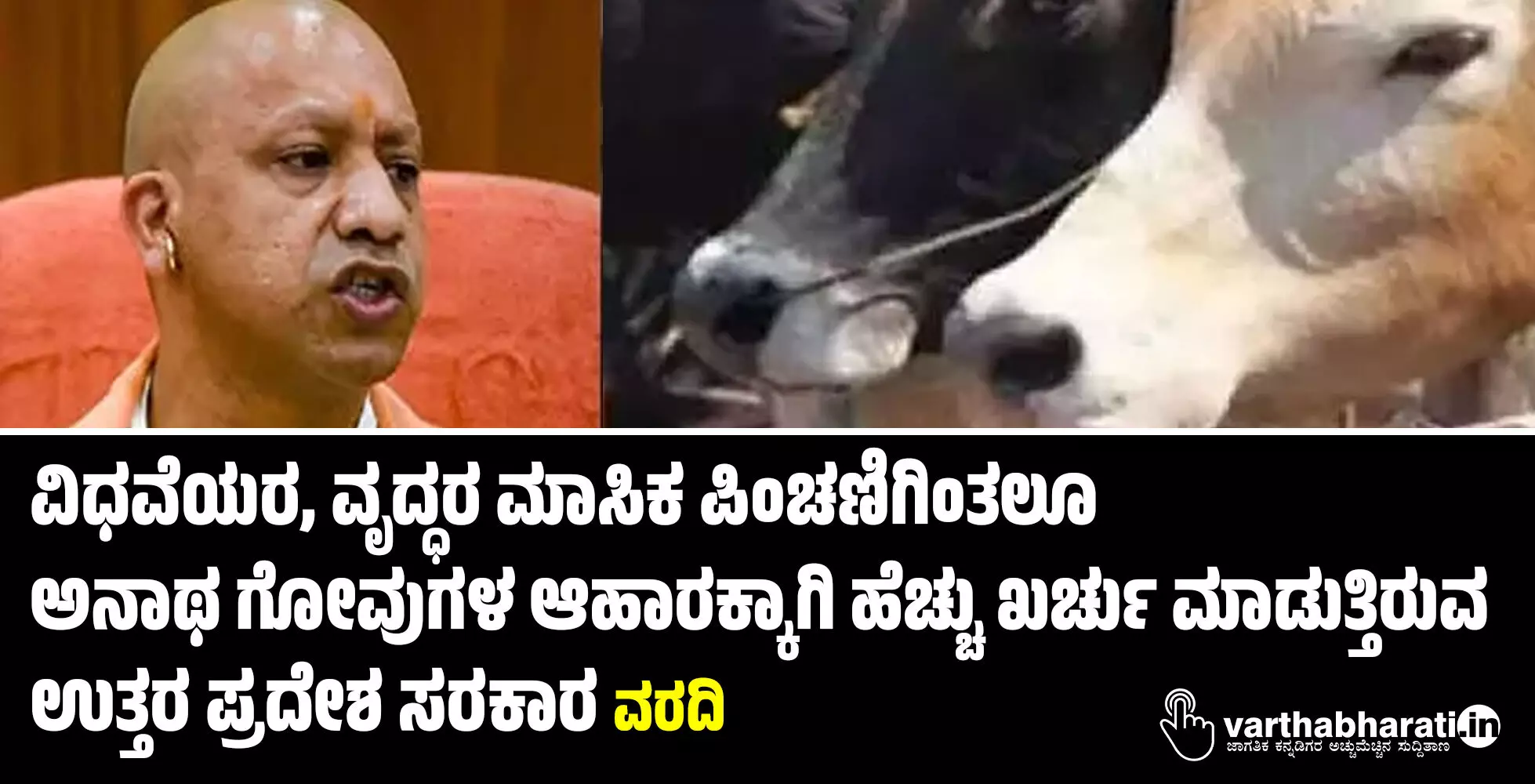 ವಿಧವೆಯರ, ವೃದ್ಧರ ಮಾಸಿಕ ಪಿಂಚಣಿಗಿಂತಲೂ ಅನಾಥ ಗೋವುಗಳ ಆಹಾರಕ್ಕಾಗಿ ಹೆಚ್ಚು ಖರ್ಚು ಮಾಡುತ್ತಿರುವ ಉತ್ತರ ಪ್ರದೇಶ ಸರಕಾರ: ವರದಿ ವಿಧವೆಯರ, ವೃದ್ಧರ ಮಾಸಿಕ ಪಿಂಚಣಿಗಿಂತಲೂ ಅನಾಥ ಗೋವುಗಳ ಆಹಾರಕ್ಕಾಗಿ ಹೆಚ್ಚು ಖರ್ಚು ಮಾಡುತ್ತಿರುವ ಉತ್ತರ ಪ್ರದೇಶ ಸರಕಾರ: ವರದಿ