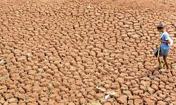 195 ತಾಲೂಕುಗಳು ಬರ ಪೀಡಿತ: ರಾಜ್ಯ ಸರಕಾರದಿಂದ ಅಧಿಕೃತ ಘೋಷಣೆ