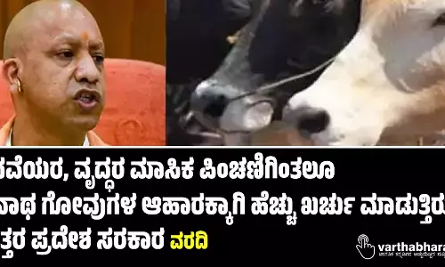 ವಿಧವೆಯರ, ವೃದ್ಧರ ಮಾಸಿಕ ಪಿಂಚಣಿಗಿಂತಲೂ ಅನಾಥ ಗೋವುಗಳ ಆಹಾರಕ್ಕಾಗಿ ಹೆಚ್ಚು ಖರ್ಚು ಮಾಡುತ್ತಿರುವ ಉತ್ತರ ಪ್ರದೇಶ ಸರಕಾರ: ವರದಿ