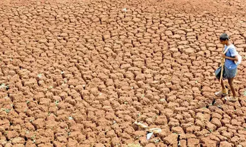 195 ತಾಲೂಕುಗಳು ಬರ ಪೀಡಿತ: ರಾಜ್ಯ ಸರಕಾರದಿಂದ ಅಧಿಕೃತ ಘೋಷಣೆ