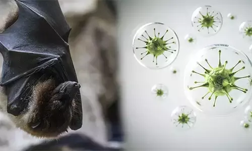 ನಿಫಾ ವೈರಸ್: ಮುನ್ನೆಚ್ಚರಿಕೆ ವಹಿಸಲು ಮನವಿ