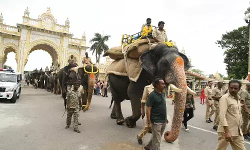 ಮೈಸೂರು ದಸರಾ: ಗಜಪಡೆಗೆ ಭಾರ ಹೊರಿಸುವ ತಾಲೀಮು ಆರಂಭ