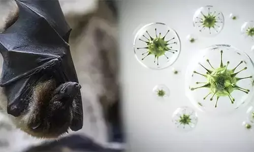 ಕೇರಳ ವಿದ್ಯಾರ್ಥಿಗಳಿಂದ ನಿಫಾ ನೆಗೆಟಿವ್ ಪ್ರಮಾಣ ಪತ್ರ ಕೋರಿದ ಮಧ್ಯಪ್ರದೇಶ ವಿಶ್ವವಿದ್ಯಾಲಯ