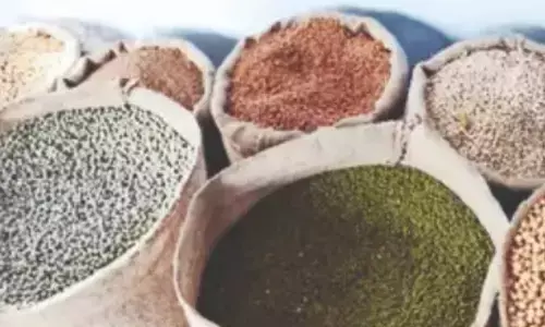 ಇಯು ಸದಸ್ಯ ದೇಶಗಳಲ್ಲಿ ಉಕ್ರೇನ್ ಧಾನ್ಯ ಆಮದು ನಿಷೇಧ ರದ್ದು