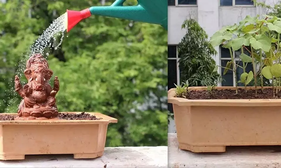 ಪರಿಸರ ಸ್ನೇಹಿ ‘ಟ್ರೀ ಗಣೇಶ’