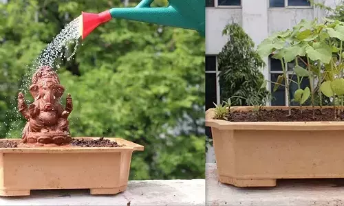 ಪರಿಸರ ಸ್ನೇಹಿ ‘ಟ್ರೀ ಗಣೇಶ’