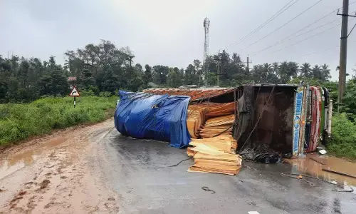 ಮೂಡಿಗೆರೆ: ಹೆದ್ದಾರಿ ಮಧ್ಯೆ ಉರುಳಿಬಿದ್ದ ಪ್ಲೈವುಡ್ ಸಾಗಾಟದ ಲಾರಿ