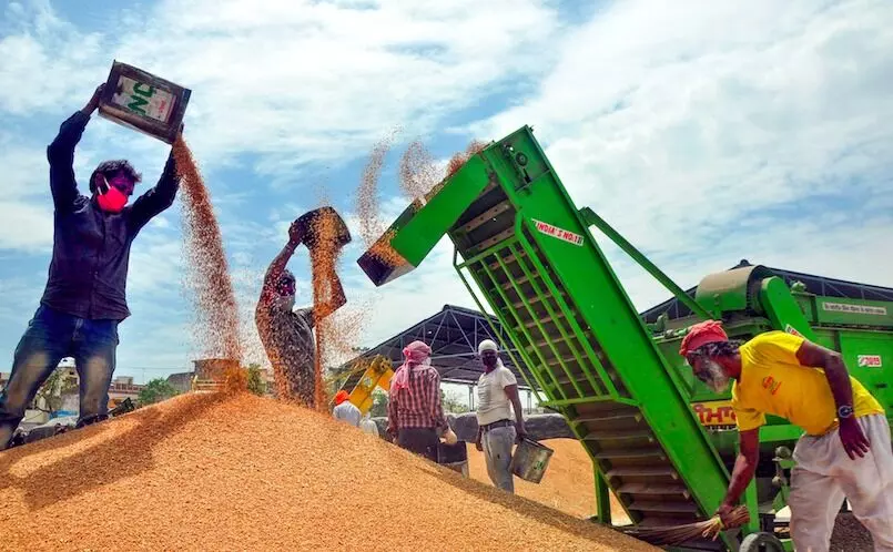 ಸರಕಾರದಿಂದ ಬೆಲೆಯೇರಿಕೆ ನಿಯಂತ್ರಣಕ್ಕಾಗಿ ಮಾರುಕಟ್ಟೆಗೆ ಗೋದಿ ಬಿಡುಗಡೆಯಿಂದ ರೈತರಿಗೆ 40,000 ಕೋ.ರೂ.ನಷ್ಟ; ವರದಿ ಸರಕಾರದಿಂದ ಬೆಲೆಯೇರಿಕೆ ನಿಯಂತ್ರಣಕ್ಕಾಗಿ ಮಾರುಕಟ್ಟೆಗೆ ಗೋದಿ ಬಿಡುಗಡೆಯಿಂದ ರೈತರಿಗೆ 40,000 ಕೋ.ರೂ.ನಷ್ಟ; ವರದಿ