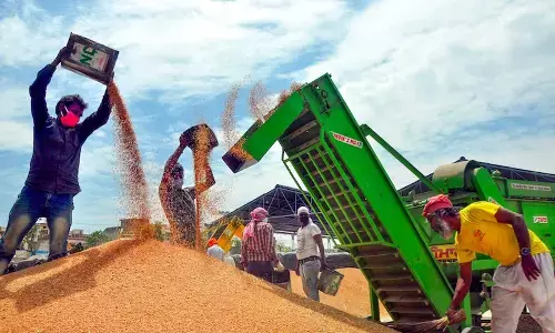 ಸರಕಾರದಿಂದ ಬೆಲೆಯೇರಿಕೆ ನಿಯಂತ್ರಣಕ್ಕಾಗಿ ಮಾರುಕಟ್ಟೆಗೆ ಗೋದಿ ಬಿಡುಗಡೆಯಿಂದ ರೈತರಿಗೆ 40,000 ಕೋ.ರೂ.ನಷ್ಟ; ವರದಿ