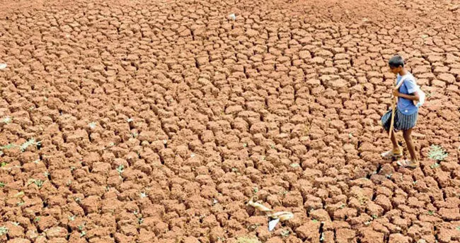 ರಾಜ್ಯದಲ್ಲಿ ಬರ ಪರಿಸ್ಥಿತಿಯಿಂದ 30,432 ಕೋಟಿ ರೂ.ನಷ್ಟ: ಸಚಿವ ಎಚ್.ಕೆ.ಪಾಟೀಲ್