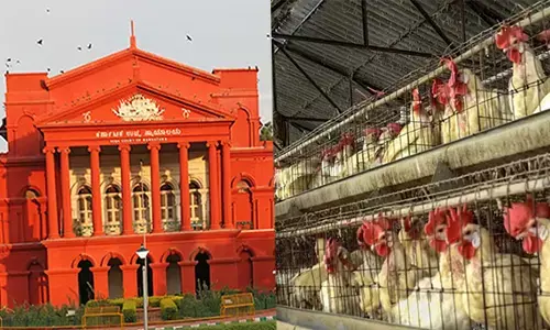ಕೋಳಿ ಸಾಕಾಣಿಕೆ ಮಾಡುವುದು ಕೃಷಿ ಚಟುವಟಿಕೆಯಾಗಿದೆ; ತೆರಿಗೆ ವಿಧಿಸಲು ಗ್ರಾಪಂಗೆ ಅಧಿಕಾರವಿಲ್ಲ: ಹೈಕೋರ್ಟ್
