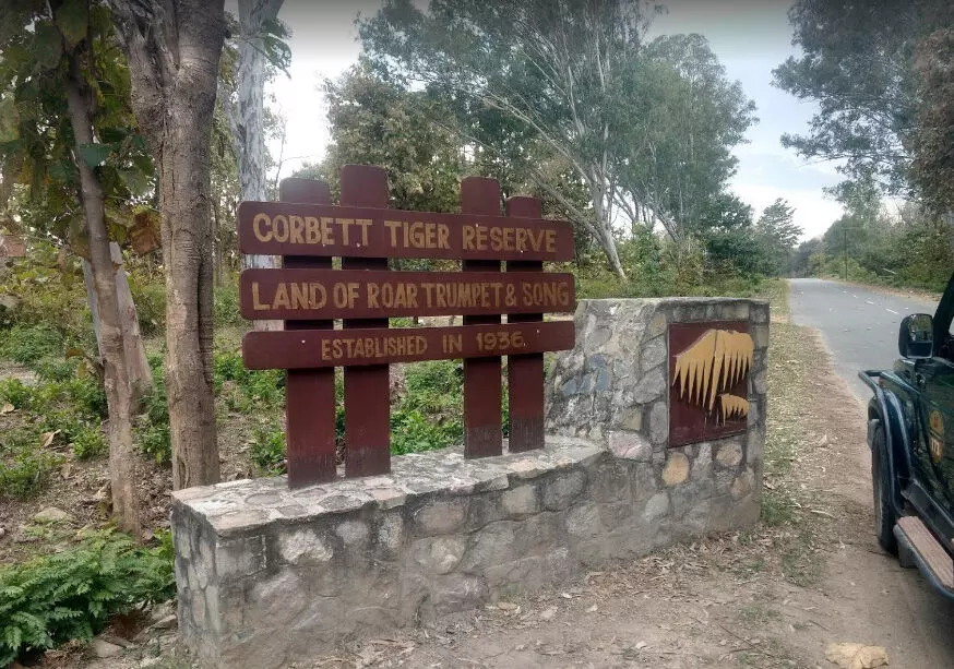 ಕೋರ್ಬೆಟ್ ಹುಲಿ ರಕ್ಷಿತಾರಣ್ಯದಲ್ಲಿ ಅಕ್ರಮವಾಗಿ 6000 ಮರಗಳಿಗೆ ಕೊಡಲಿಯೇಟು: ತನಿಖೆ ಆರಂಭಿಸಿದ ಸಿಬಿಐ