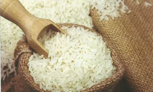 ಸೆ.30: ಪ್ಲಾಸ್ಟಿಕ್ ಬಳಕೆ ವಿರುದ್ಧ ಜಾಗೃತಿ ಅಭಿಯಾನ