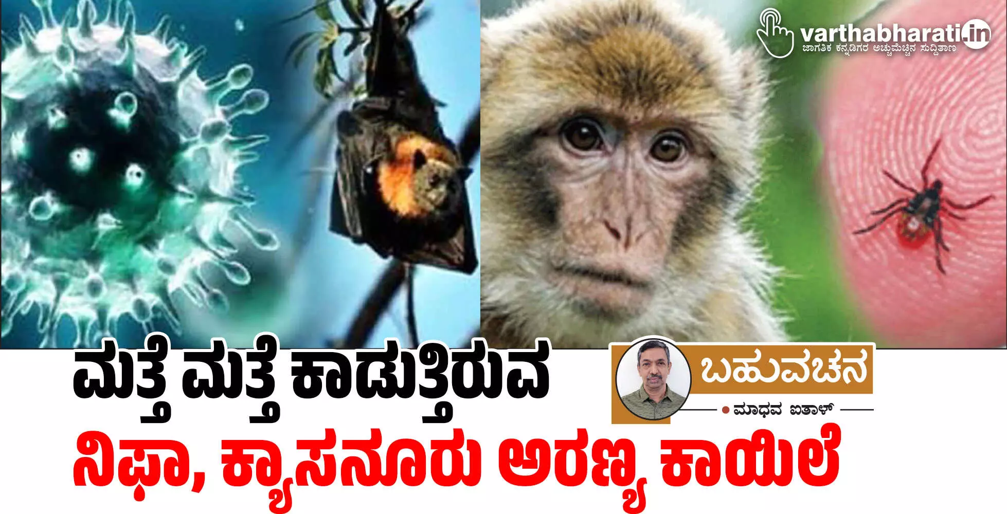 ಮತ್ತೆ ಮತ್ತೆ ಕಾಡುತ್ತಿರುವ ನಿಫಾ, ಕ್ಯಾಸನೂರು ಅರಣ್ಯ ಕಾಯಿಲೆ