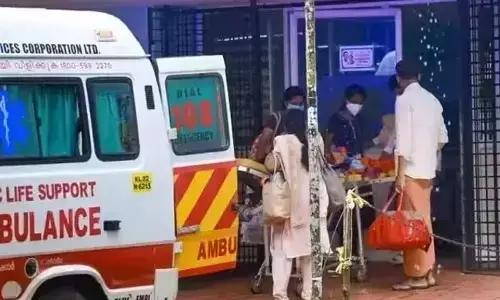 ದೂರವಾದ ನಿಫಾ ಭೀತಿ; ಕೇರಳದ ಎಲ್ಲ ನಾಲ್ವರು ಸೋಂಕಿತರು ಗುಣಮುಖ