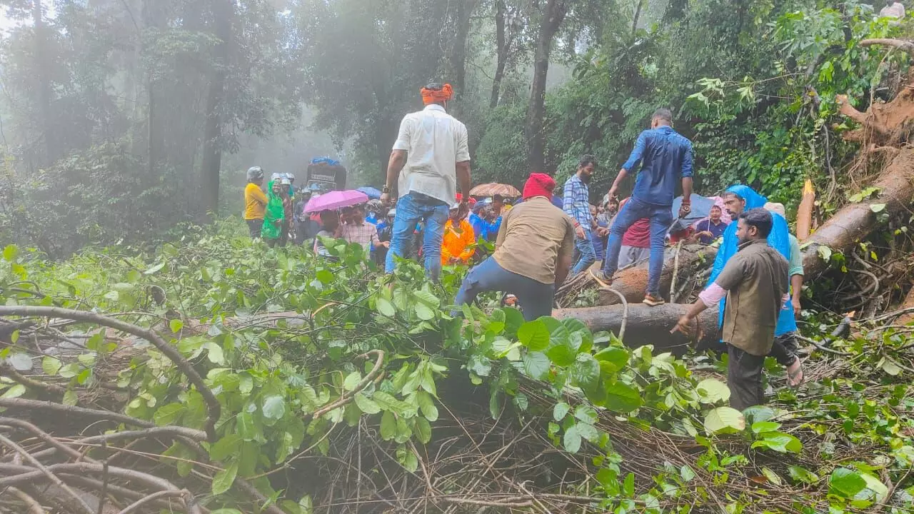 ಭಾರೀ ಮಳೆಗೆ ಚಾರ್ಮಾಡಿ ಘಾಟಿಯಲ್ಲಿ ರಸ್ತೆಗೆ ಉರುಳಿದ ಮರಗಳು; 2 ಗಂಟೆಗೂ ಹೆಚ್ಚು ಸಮಯ ಟ್ರಾಫಿಕ್‌ನಲ್ಲಿ ಸಿಲುಕಿದ ಜನ