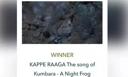 ‘ಕಪ್ಪೆ ರಾಗʼ ಚಿತ್ರಕ್ಕೆ ಅಂತಾರಾಷ್ಟ್ರೀಯ ಮನ್ನಣೆ: ಕನ್ನಡದ ಸಾಕ್ಷ್ಯಚಿತ್ರಕ್ಕೆ ಜಾಕ್ಸನ್ ವೈಲ್ಡ್ ಅವಾರ್ಡ್