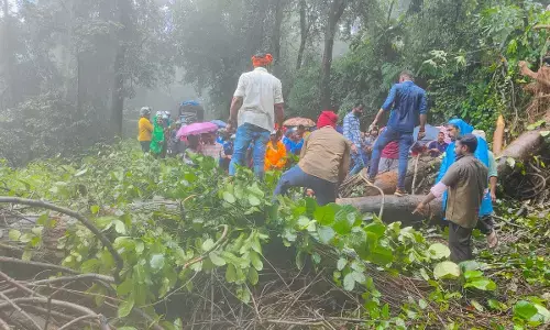 ಭಾರೀ ಮಳೆಗೆ ಚಾರ್ಮಾಡಿ ಘಾಟಿಯಲ್ಲಿ ರಸ್ತೆಗೆ ಉರುಳಿದ ಮರಗಳು; 2 ಗಂಟೆಗೂ ಹೆಚ್ಚು ಸಮಯ ಟ್ರಾಫಿಕ್‌ನಲ್ಲಿ ಸಿಲುಕಿದ ಜನ