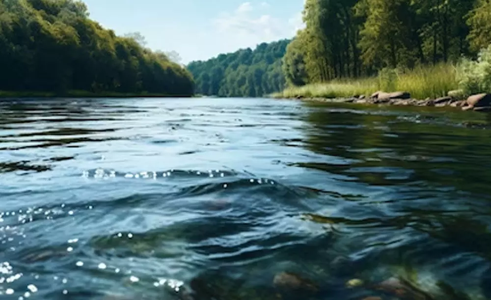 ಮೈಸೂರು: ಕಾಲುವೆಗೆ ಬಿದ್ದು ಒಂದೇ ಕುಟುಂಬದ ಮೂವರು ಮೃತ್ಯು ಮೈಸೂರು: ಕಾಲುವೆಗೆ ಬಿದ್ದು ಒಂದೇ ಕುಟುಂಬದ ಮೂವರು ಮೃತ್ಯು