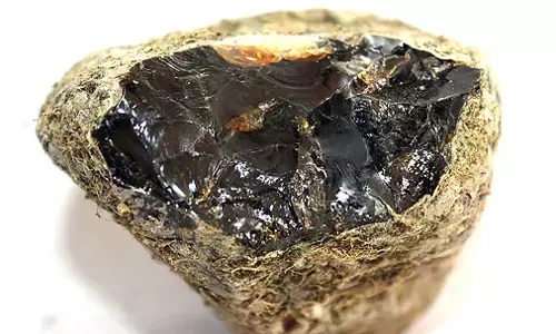 ಅಂಬರ್‌ಗ್ರೀಸ್ ಬೆಲೆ ಅಂಬರಕ್ಕೇರಿದ್ದೇಕೆ?